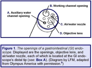 Figure 1. The distal tip's "openings" of a GI endoscope.
